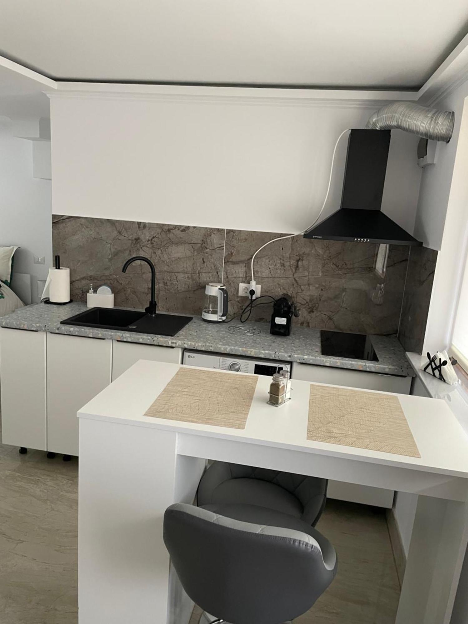 Studio Apartment Suceava Bagian luar foto